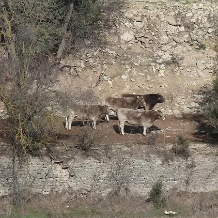 Casa Mestres Casa rural *